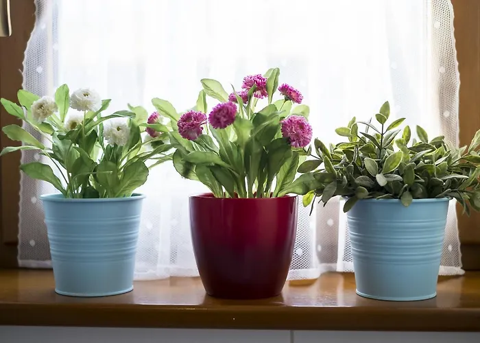 Lejlighed 4u - Zakopane